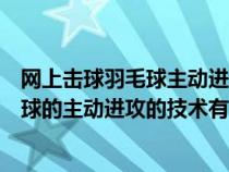 網(wǎng)上擊球羽毛球主動進(jìn)攻的技術(shù)有搓條放網(wǎng)(網(wǎng)上擊球羽毛球的主動進(jìn)攻的技術(shù)有) 網(wǎng)上擊球羽毛球主動進(jìn)攻的技術(shù)有搓條放網(wǎng)(網(wǎng)上擊球羽毛球的主動進(jìn)攻的技術(shù)有)