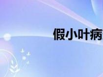 假小葉病變特點(diǎn)（假小葉）
