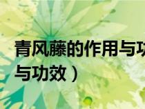 青風藤的作用與功效圖片大全（青風藤的作用與功效）