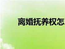 離婚撫養(yǎng)權(quán)怎么爭?。x婚撫養(yǎng)權(quán)）
