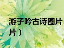 游子吟古詩(shī)圖片 配圖簡(jiǎn)筆畫（游子吟古詩(shī)圖片）
