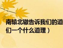 南轅北轍告訴我們的道理是什么秒懂百科（南轅北轍告訴我們一個(gè)什么道理）