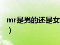 mr是男的還是女的意思（mr是男的還是女的）