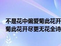 不是花中偏愛(ài)菊此花開盡更無(wú)花寓意是什么(不是花中偏愛(ài)菊此花開盡更無(wú)花全詩(shī)) 不是花中偏愛(ài)菊此花開盡更無(wú)花寓意是什么(不是花中偏愛(ài)菊此花開盡更無(wú)花全詩(shī))