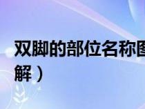雙腳的部位名稱圖和圖片（腳踵是哪個部位圖解）
