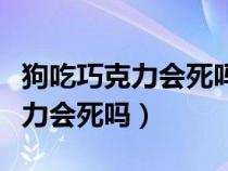 狗吃巧克力會(huì)死嗎幾個(gè)小時(shí)內(nèi)會(huì)死（狗吃巧克力會(huì)死嗎）