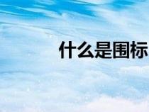 什么是圍標(biāo)串標(biāo)(什么是圍標(biāo)) 什么是圍標(biāo)串標(biāo)(什么是圍標(biāo))