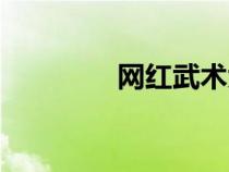 網(wǎng)紅武術(shù)大師（武術(shù)大師）