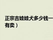 正宗吉娃娃犬多少錢一只（吉娃娃犬多少錢一只黑龍江省那有賣）