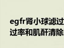 egfr腎小球?yàn)V過(guò)率和肌酐清除率(腎小球?yàn)V過(guò)率和肌酐清除率) egfr腎小球?yàn)V過(guò)率和肌酐清除率(腎小球?yàn)V過(guò)率和肌酐清除率)