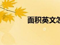 面積英文怎么說（面積英文）