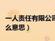 一人責(zé)任有限公司是什么意思（有限公司是什么意思）
