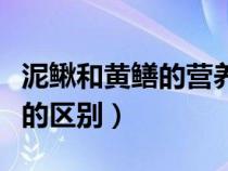泥鰍和黃鱔的營養(yǎng)價值誰的更高（泥鰍和黃鱔的區(qū)別）