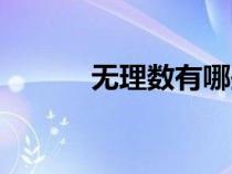 無理數(shù)有哪些（有理數(shù)有哪些）