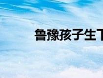 魯豫孩子生下來了嗎（魯豫孩子）