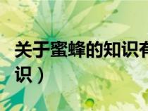 關(guān)于蜜蜂的知識(shí)有哪些三年級(jí)(關(guān)于蜜蜂的知識(shí)) 關(guān)于蜜蜂的知識(shí)有哪些三年級(jí)(關(guān)于蜜蜂的知識(shí))