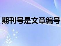 期刊號是文章編號嗎(期刊號是cn還是issn) 期刊號是文章編號嗎(期刊號是cn還是issn)