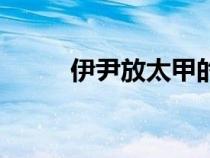 伊尹放太甲的典故（伊尹放太甲）