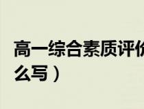 高一綜合素質(zhì)評價研究性課題怎么寫（課題怎么寫）