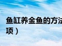 魚(yú)缸養(yǎng)金魚(yú)的方法和技巧(魚(yú)缸養(yǎng)金魚(yú)注意事項(xiàng)) 魚(yú)缸養(yǎng)金魚(yú)的方法和技巧(魚(yú)缸養(yǎng)金魚(yú)注意事項(xiàng))