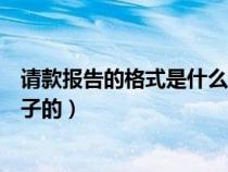 請款報(bào)告的格式是什么樣子的呢（請款報(bào)告的格式是什么樣子的）