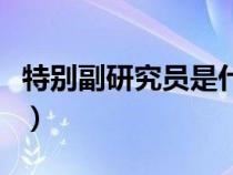 特別副研究員是什么職稱（研究員是什么職稱）