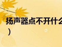 揚聲器點不開什么問題（揚聲器打不開怎么辦）