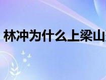 林沖為什么上梁山落草（林沖為什么上梁山）