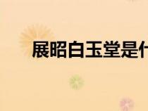 展昭白玉堂是什么關系（展昭白玉堂）