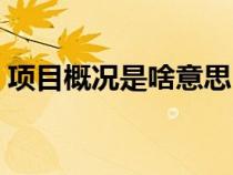 項(xiàng)目概況是啥意思(項(xiàng)目概況包括哪些內(nèi)容) 項(xiàng)目概況是啥意思(項(xiàng)目概況包括哪些內(nèi)容)