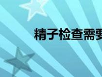 精子檢查需要多少錢（精子檢查）