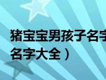 豬寶寶男孩子名字大全兩個(gè)字（豬寶寶男孩子名字大全）