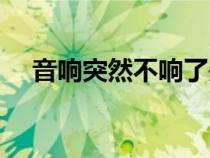 音響突然不響了是什么原因（音響不響）