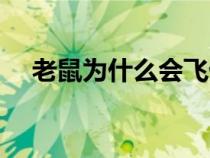 老鼠為什么會(huì)飛仙丹(老鼠為什么會(huì)飛) 老鼠為什么會(huì)飛仙丹(老鼠為什么會(huì)飛)