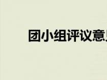 團(tuán)小組評議意見50字（團(tuán)小組評議）