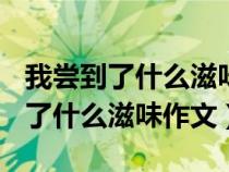 我嘗到了什么滋味作文400字五年級（我嘗到了什么滋味作文）