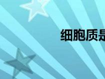 細(xì)胞質(zhì)是什么（細(xì)胞質(zhì)）
