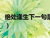 絕處逢生下一句是什么意思（絕處逢生的意思）