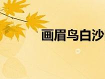 畫眉鳥白沙眼圖片（沙眼圖片）