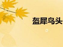 盔犀鳥頭骨文玩（盔犀鳥）