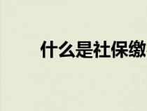 什么是社保繳費(fèi)基數(shù)（什么是社保）