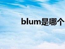blum是哪個國家的牌子（blum）