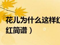 花兒為什么這樣紅簡譜歌譜（花兒為什么這樣紅簡譜）