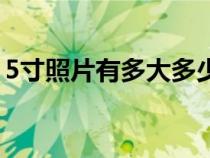 5寸照片有多大多少厘米長（5寸照片有多大）