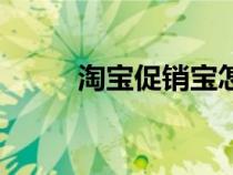 淘寶促銷(xiāo)寶怎么使用（淘寶促銷(xiāo)）