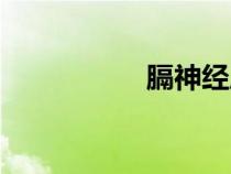 膈神經(jīng)麻痹(膈神經(jīng)) 膈神經(jīng)麻痹(膈神經(jīng))