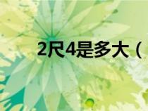 2尺4是多大（2尺4的尺寸是多少?。? title=