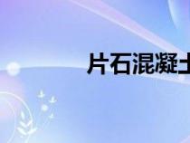 片石混凝土施工工藝（片石）