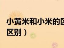 小黃米和小米的區(qū)別與功效（小黃米和小米的區(qū)別）