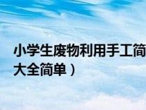 小學(xué)生廢物利用手工簡單又漂亮（小學(xué)生廢物利用手工制作大全簡單）